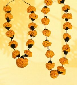 Crochet Marigold Garland